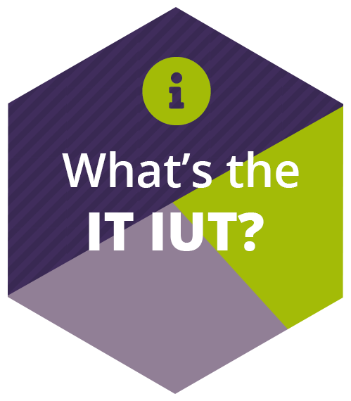 Do I have the right profile for the IT IUT?